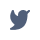 twitter_icon